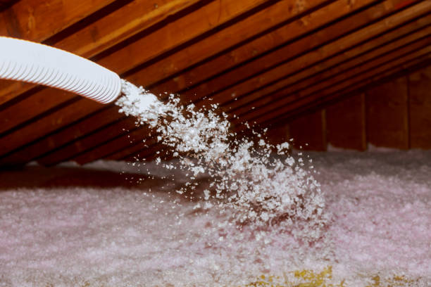 Best Blown-in Insulation in Alamae, NC