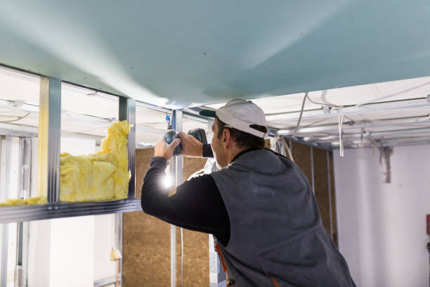 Types of Insulation We Offer in Alamance, NC