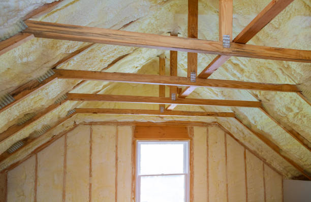 Best Cellulose Insulation in Alamae, NC