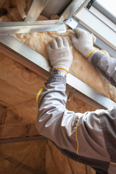 Best Energy Efficiency Insulation in Alamae, NC