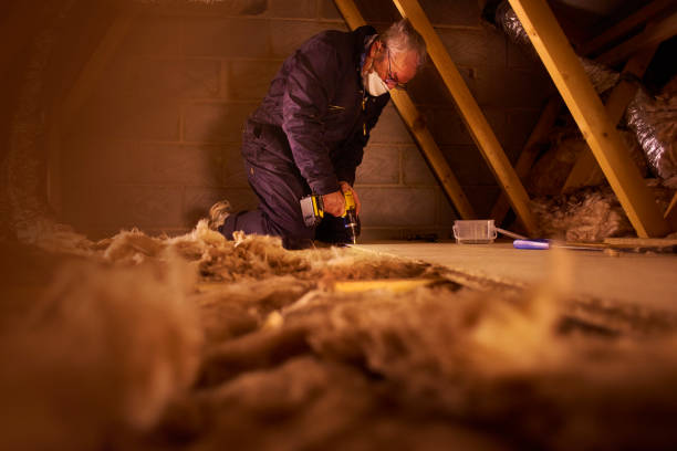 Best Commercial Insulation in Alamae, NC