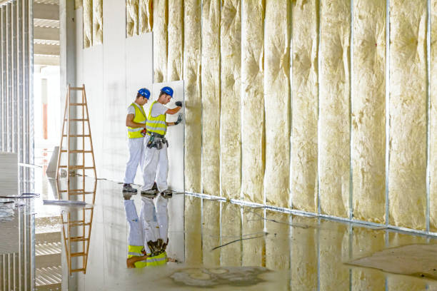 Best Eco-Friendly Insulation in Alamae, NC